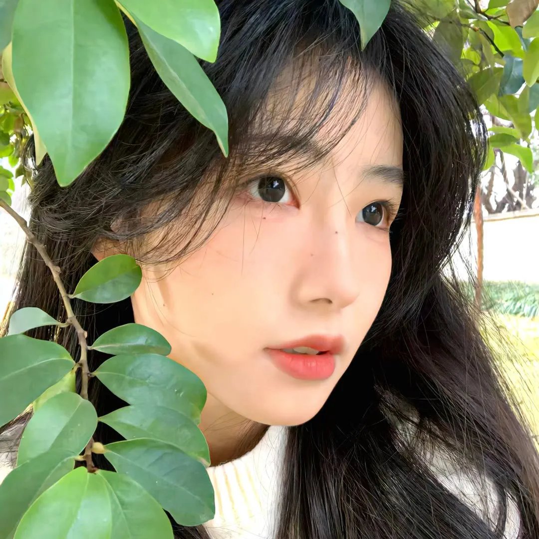 蝴蝶夫人